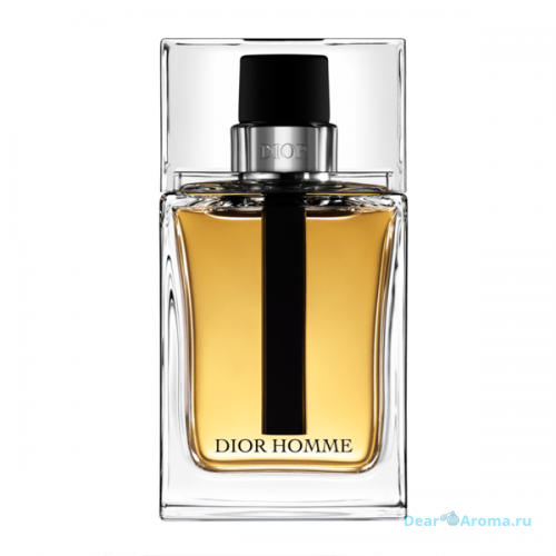 DIOR HOMME DIOR