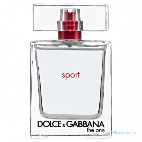 DOLCE GABBANA THE ONE SPORT MEN