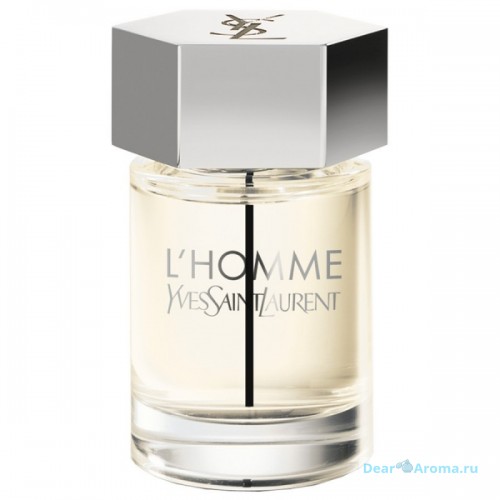 YSL L'Homme