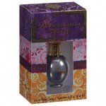 Taylor Swift Wonderstruck