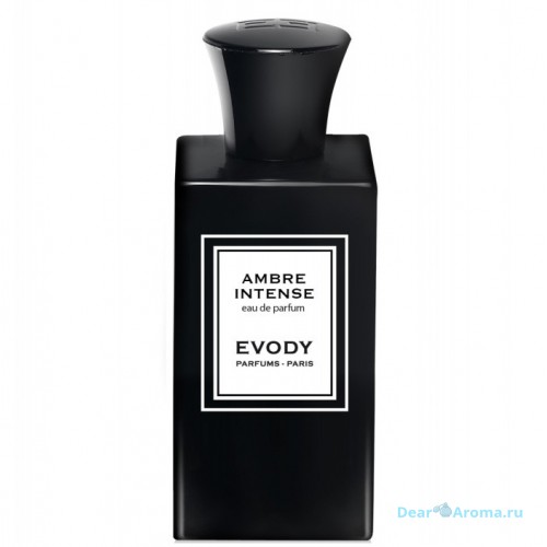 Evody Ambre Intense