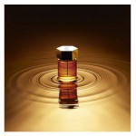 Yves Saint Laurent L`Homme Parfum Intense