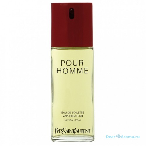 Yves Saint Laurent Yves Saint Laurent Pour Homme