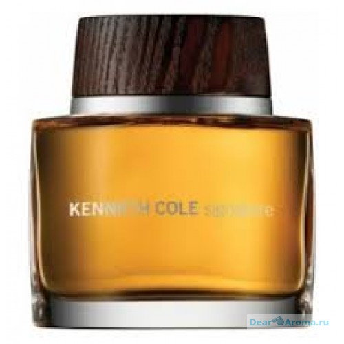 Kenneth Cole Signature men