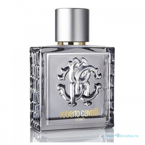 Roberto Cavalli Uomo Silver Essence