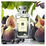 Jo Malone Wild Fig & Cassis