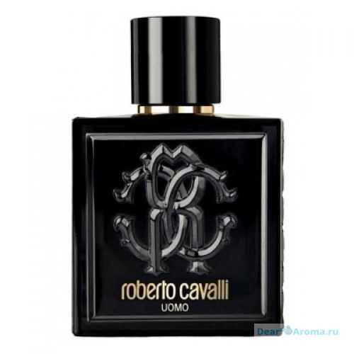 Roberto Cavalli Uomo