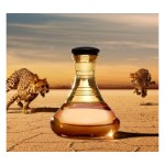 Shakira Wild Elixir