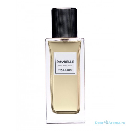 YSL Saharienne 2015