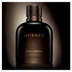 Dolce Gabbana (D&G) Pour Homme Intenso