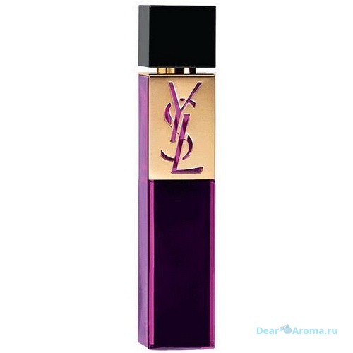 YSL Elle Intense