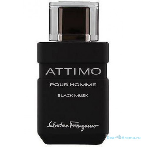 Salvatore Ferragamo Attimo Black Musk Pour Homme