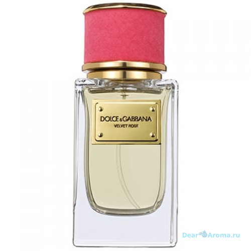 Dolce Gabbana (D&G) Velvet Rose