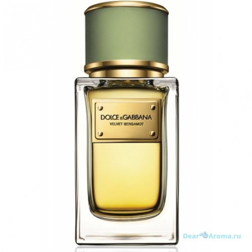 Dolce And Gabbana Velvet Bergamot