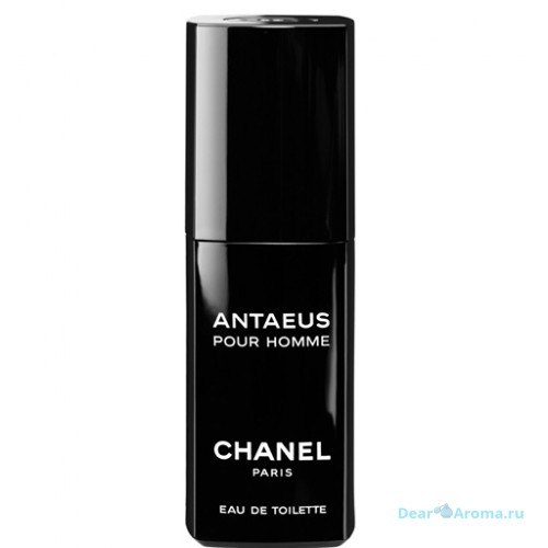 Chanel Antaeus