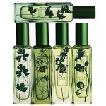 Jo Malone Wild Strawberry & Parsley