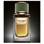 Dolce And Gabbana Velvet Bergamot