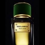 Dolce Gabbana (D&G) Velvet Vetiver