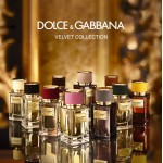 Dolce Gabbana (D&G) Velvet Amber Skin