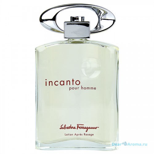 Salvatore Ferragamo Incanto Pour Homme