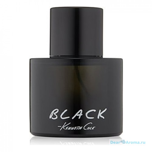 Kenneth Cole Black For Men