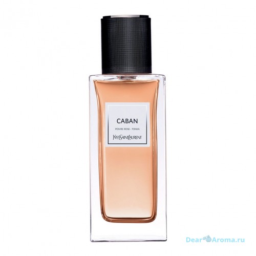 YSL Caban