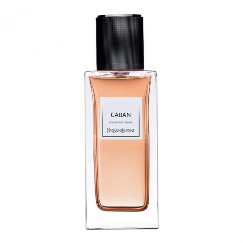 YSL Caban