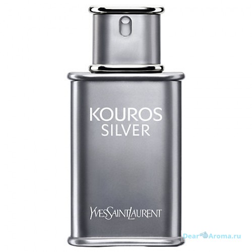 YSL Kouros Silver