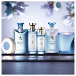 Bvlgari Eau Parfumee Au The Bleu