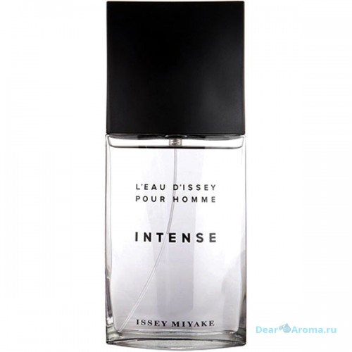 Issey Miyake L'Eau D'Issey Intense Pour Homme