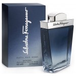 Salvatore Ferragamo Subtil Pour Homme