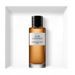 Christian Dior Cuir Cannage