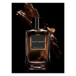 Elie Saab Essence No 4 Oud