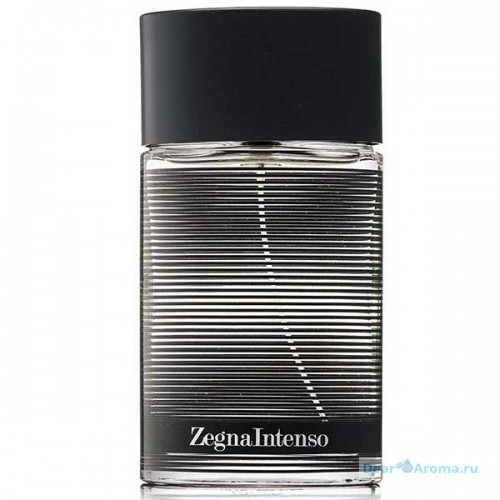 Ermenegildo Zegna Zegna Intenso