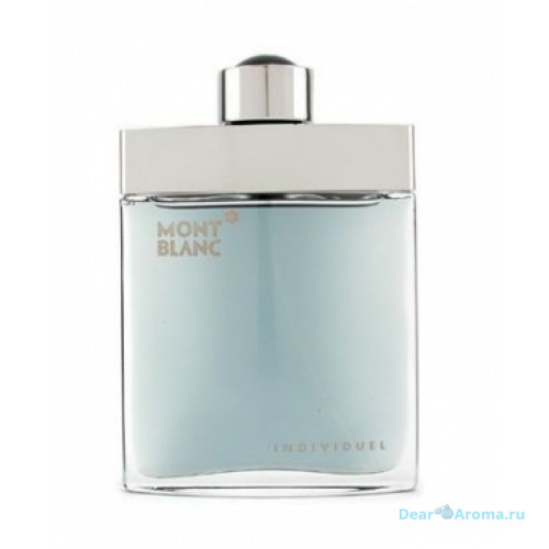 Mont Blanc Individuel Men