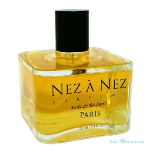 Nez a Nez Foret de Becharre