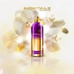 Montale Orchid Powder