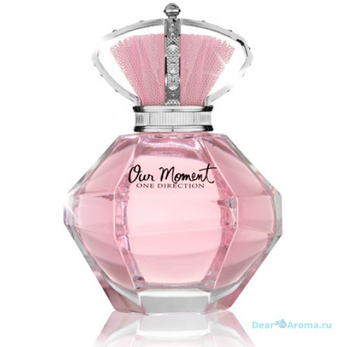 One Direction Our Moment