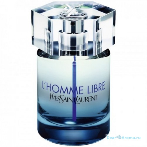 Yves Saint Laurent L`Homme Libre