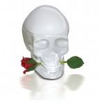 Ed Hardy Skulls & Roses for Her