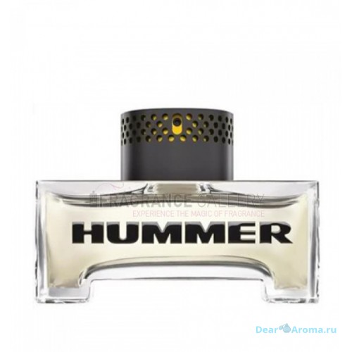 Hummer Hummer