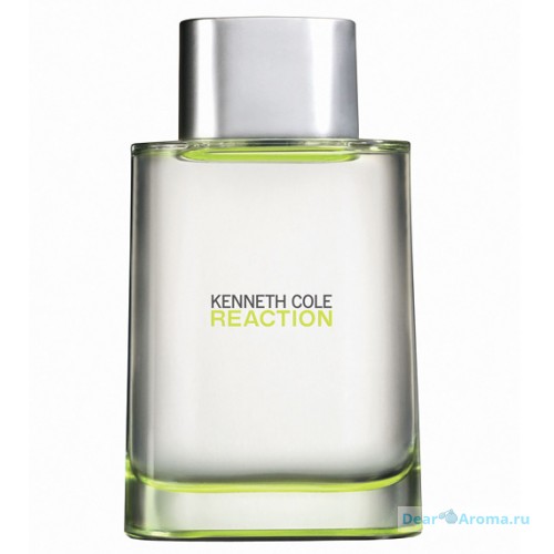 Kenneth Cole Reaction For Men