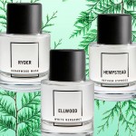 Abercrombie & Fitch Hempstead Vetiver Cypress