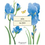 Fragonard Iris