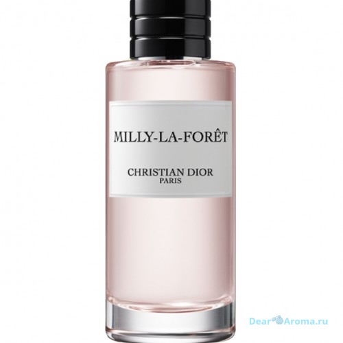 Christian Dior Milly-la-Foret