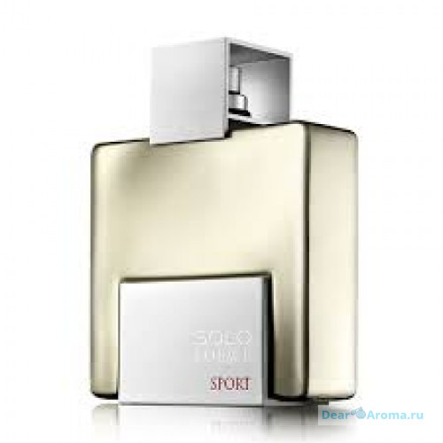 Loewe Solo Sport