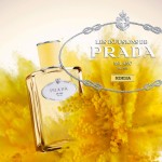 Prada Infusion De Mimosa