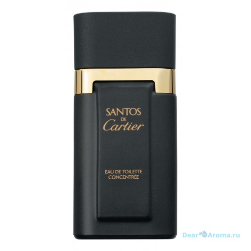 Cartier Santos Concentree