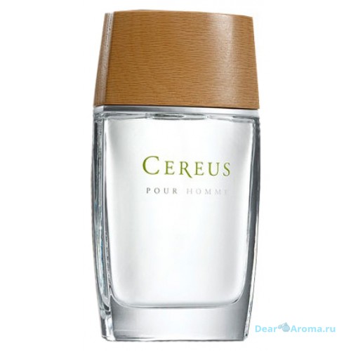 Cereus No4