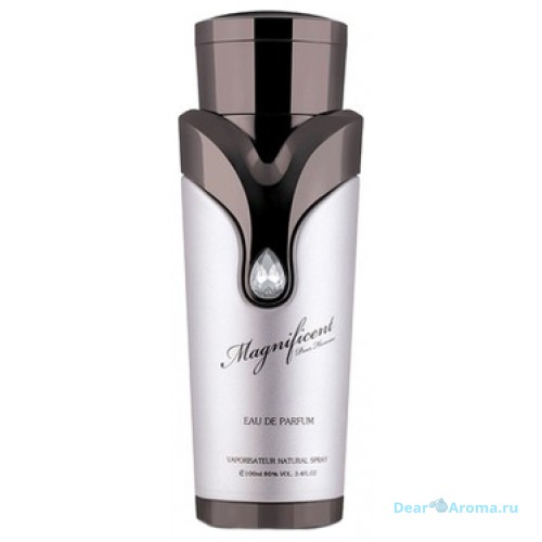 Armaf Magnificent Pour Homme